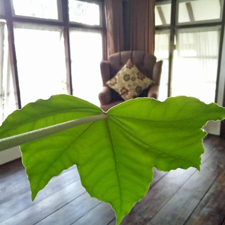 Rumah Pakankamih Bukittinggi Eksteriør bilde