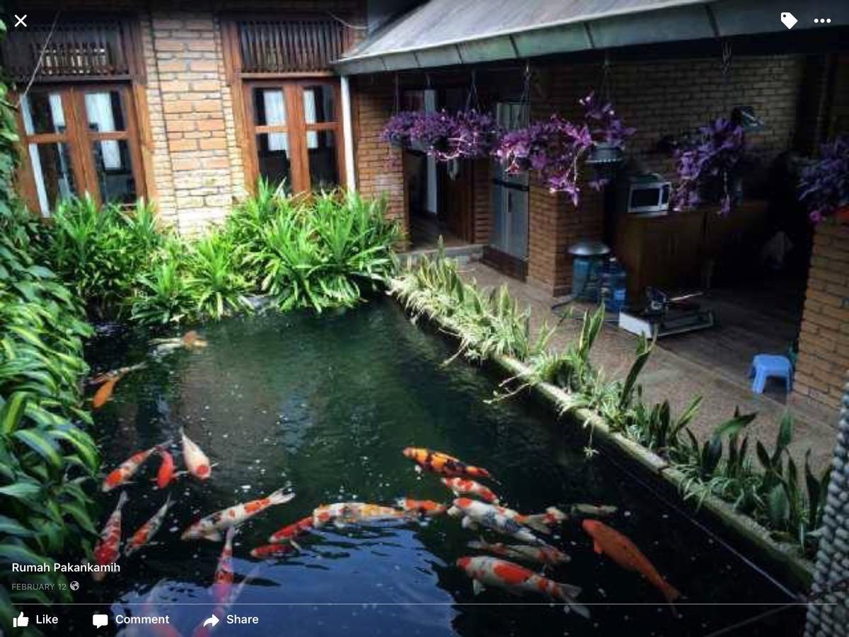 Rumah Pakankamih Bukittinggi Eksteriør bilde