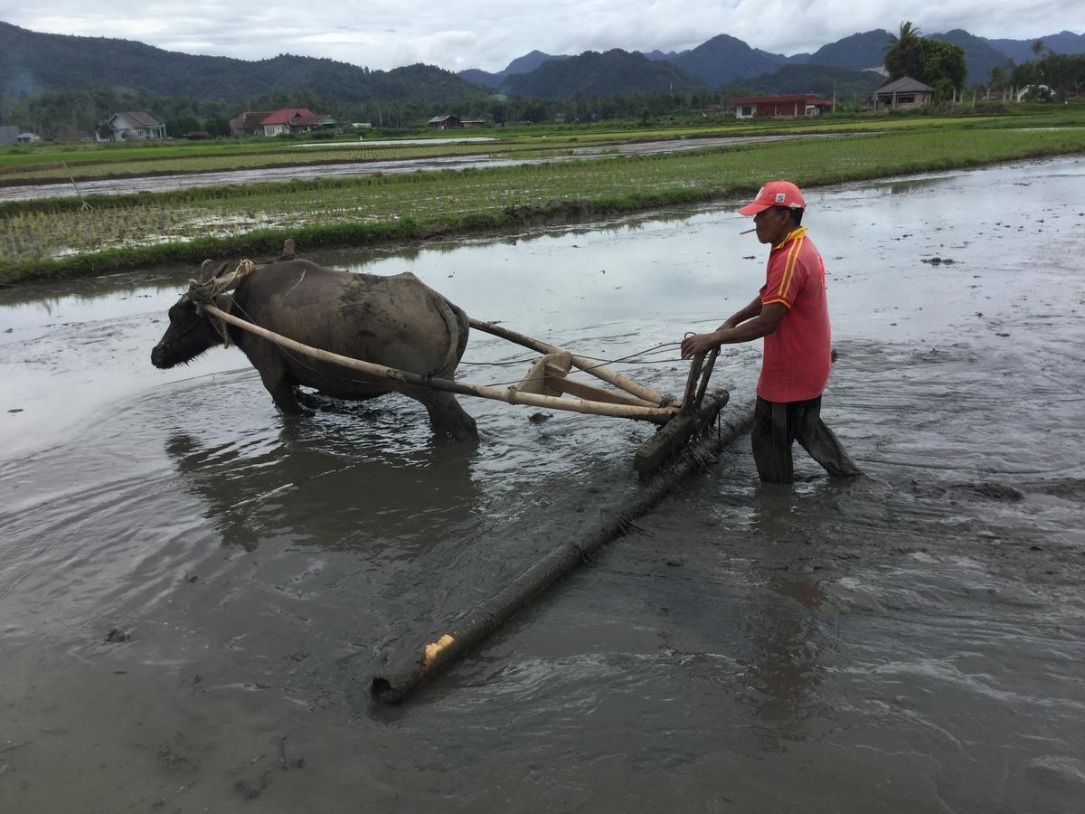 Rumah Pakankamih Bukittinggi Eksteriør bilde