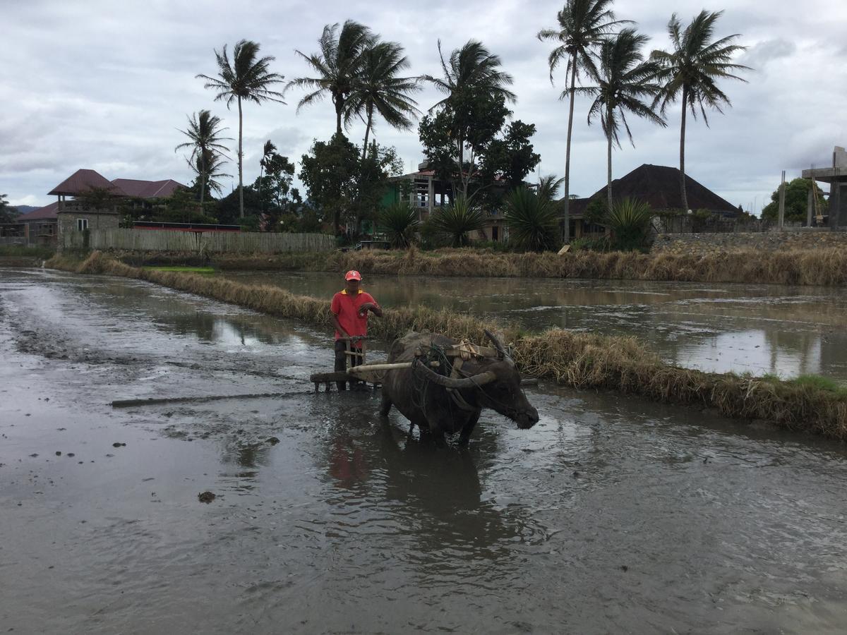 Rumah Pakankamih Bukittinggi Eksteriør bilde